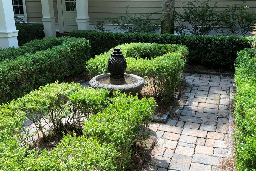 Landscape Maintenance Hilton Head